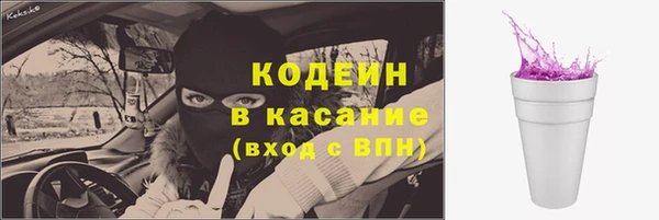 ГАЛЛЮЦИНОГЕННЫЕ ГРИБЫ Сатка